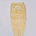 /album/fotogaleria-extensiones-de-pelo-natural-con-clips-largo-50-cm-peso-200-gr-9-capas-remy/a55-jpg/